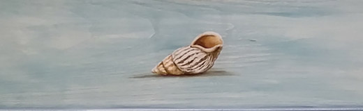 A detail photo of one of two night stands I painted with a seashell theme