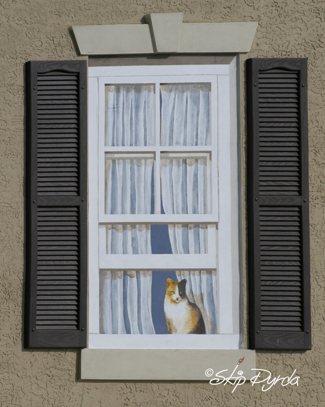 A photo of one section of several murals I painted in Stuart, FL