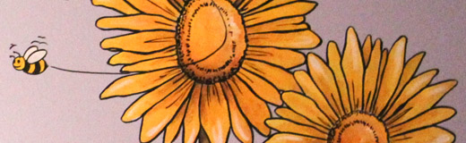 A detail photo of murals painted in a young girls bedroom showing bumble bees flying around sunflowers. By Skip Dyrda