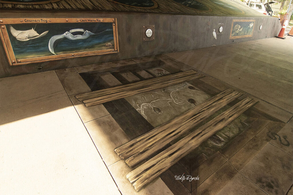 A photo of a potion of a mural I painted under a bridge in Punta Gorda, FL that depicts a series of portholes set into what appears to be old wood. Through each porthole can be seen different species of fish.