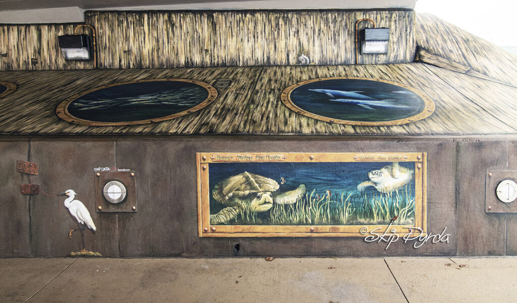 A photo of a potion of a mural I painted under a bridge in Punta Gorda, FL that depicts a series of portholes set into what appears to be old wood. Through each porthole can be seen different species of fish.