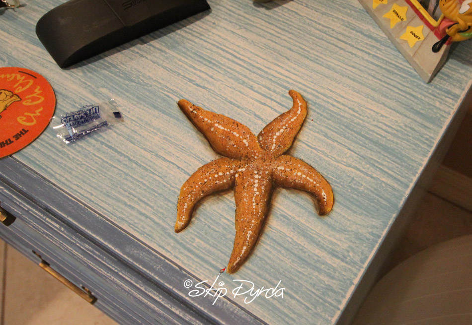 A photo of a custom painted nightstand with seashells painted on the front